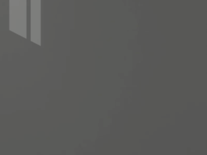 P.G.B. - Prime Gris Brillo